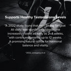 HealthGuard Men’s Vitality Support 3 Pack