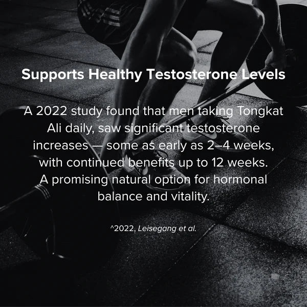 HealthGuard Men’s Vitality Support 3 Pack